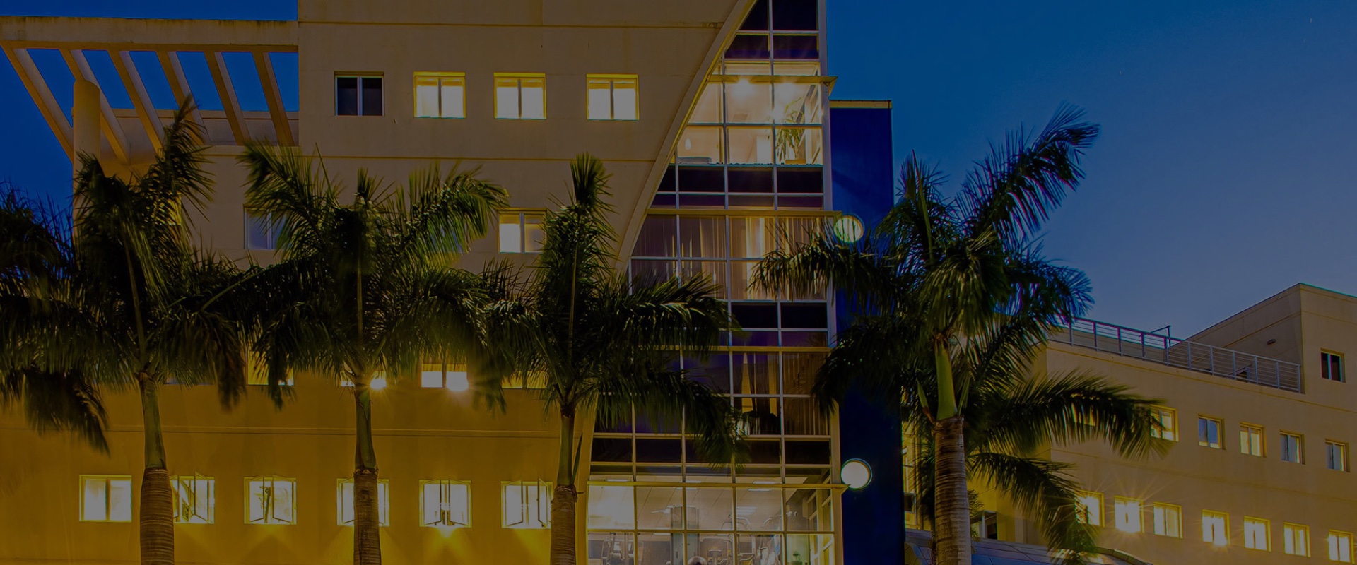 Crypto License in Mauritius